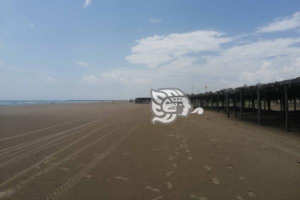 CFE deja sin servicio a palaperos de Tuxpan