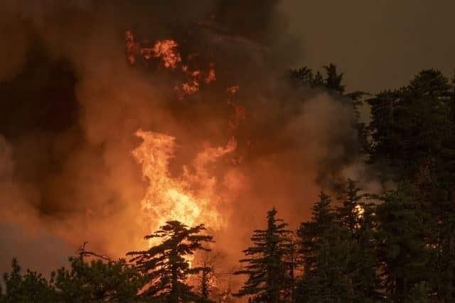 Sube a 16 los muertos por incendios en costa oeste de EU