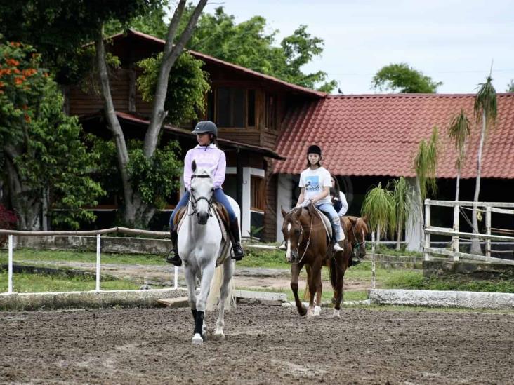 Mayor empatía con los animales para una mejor sociedad