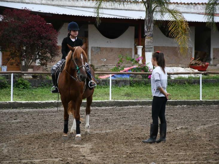 Mayor empatía con los animales para una mejor sociedad