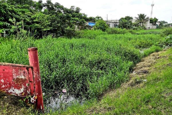 Temen derrame de aguas negras en viviendas en Tuxpan
