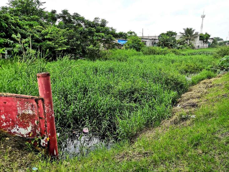 Temen derrame de aguas negras en viviendas en Tuxpan