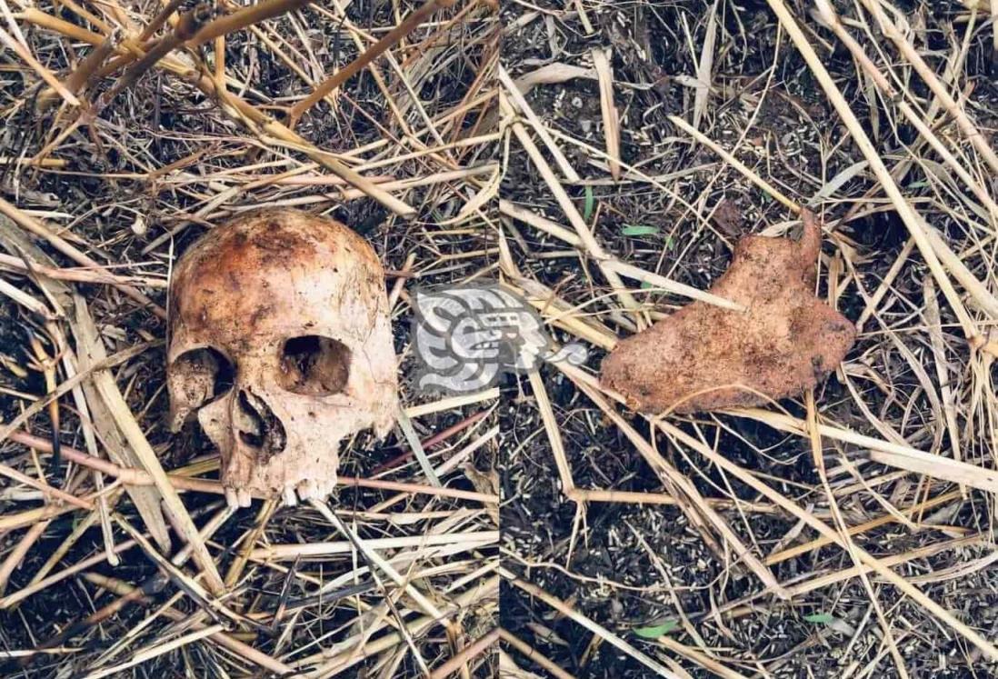 Localizan restos óseos a un costado de La Tinaja - Cosoleacaque