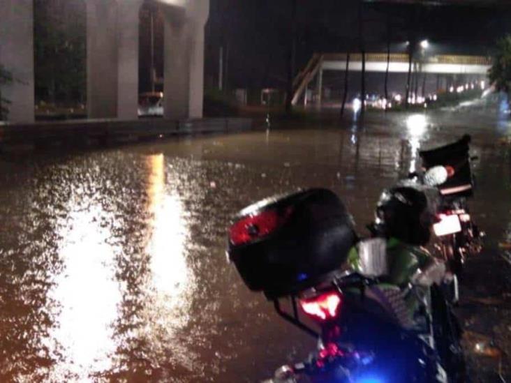 Ejecutan a vendedor de boletos de AU sobre autopista Córdoba- Puebla