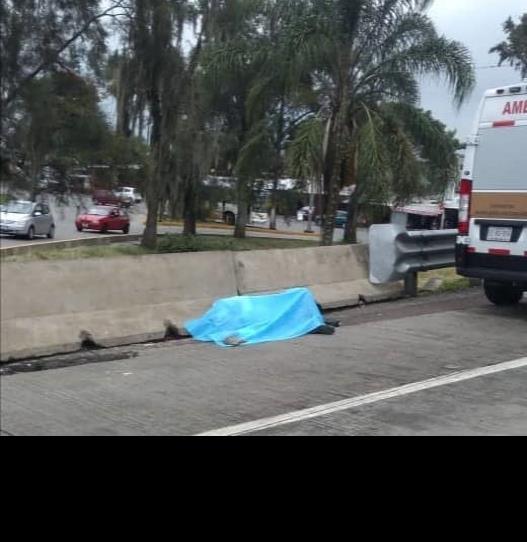 Ejecutan a vendedor de boletos de AU sobre autopista Córdoba- Puebla