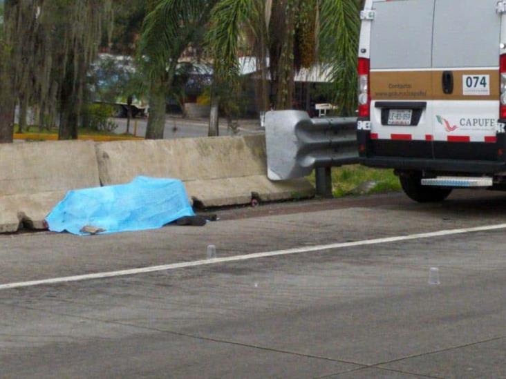 Ejecutan a vendedor de boletos de AU sobre autopista Córdoba- Puebla