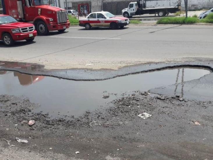 Peligroso hoyanco poncha 11 autos frente a Laguna Real