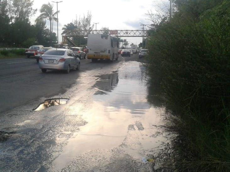 Peligroso hoyanco poncha 11 autos frente a Laguna Real