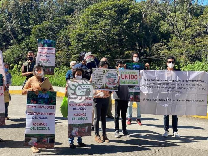 Mano negra del Poder Judicial favorece devastación de bosque en Veracruz