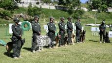 Compañía K9 de Fuerza Civil, en constante entrenamiento