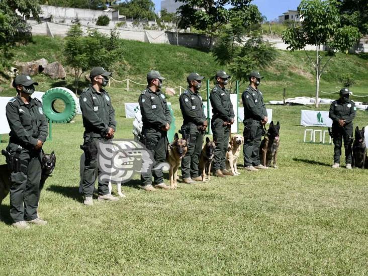 Compañía K9 de Fuerza Civil, en constante entrenamiento