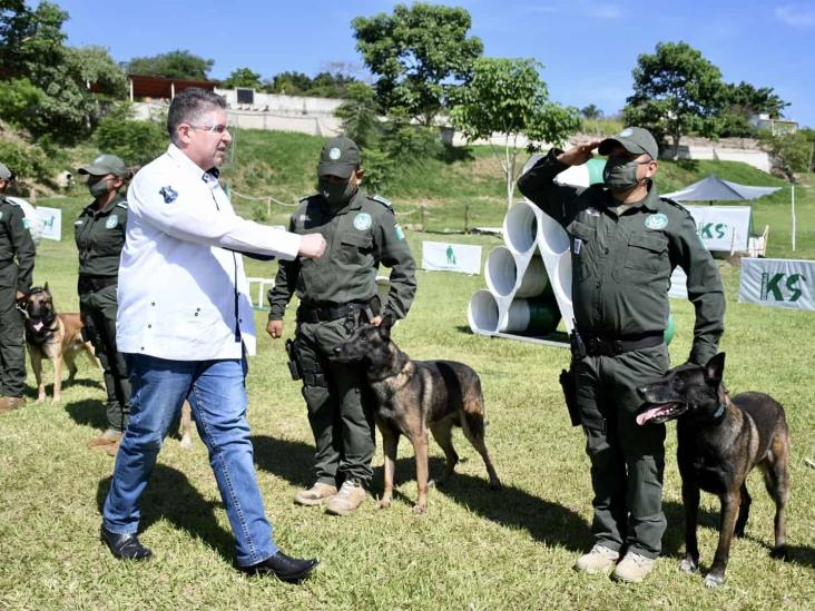 Compañía K9 de Fuerza Civil, en constante entrenamiento