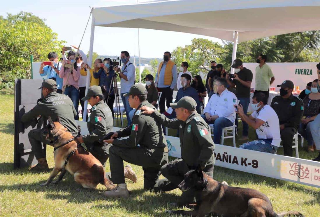 Compañía K9 contribuye en acciones de seguridad: Hugo Gutiérrez