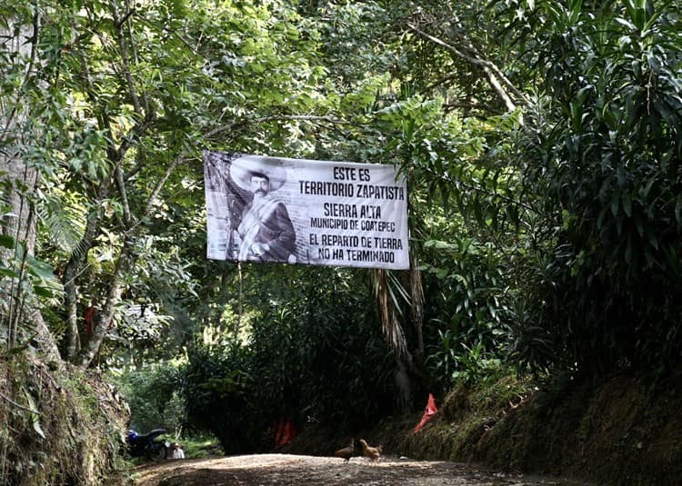 Juez ordena a Sedatu y a CIAOC parar devastación de bosque de Veracruz