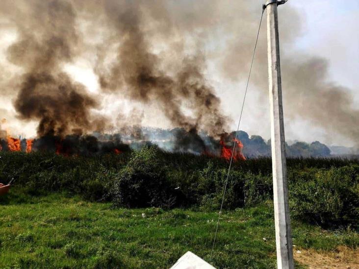 Lluvias pusieron alto a los incendios forestales