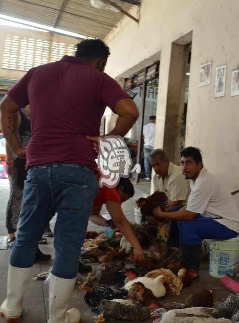 Mercados del puerto, sin temor al Covid-19