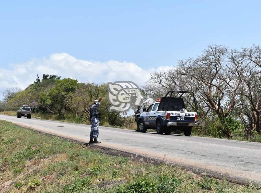 Roban camioneta con 4 toneladas de harina en Acayucan