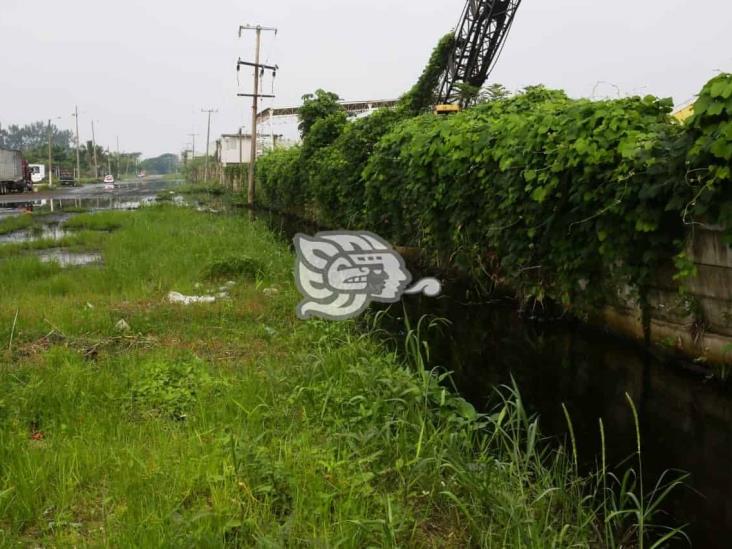 En colonias de Coatza solicitan fumigaciones de la Jurisdicción Sanitaria XI 