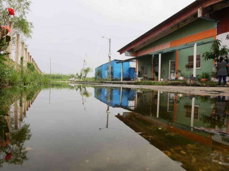 En colonias de Coatza solicitan fumigaciones de la Jurisdicción Sanitaria XI 