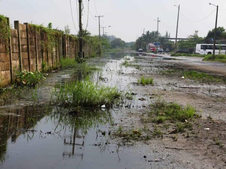 En colonias de Coatza solicitan fumigaciones de la Jurisdicción Sanitaria XI 