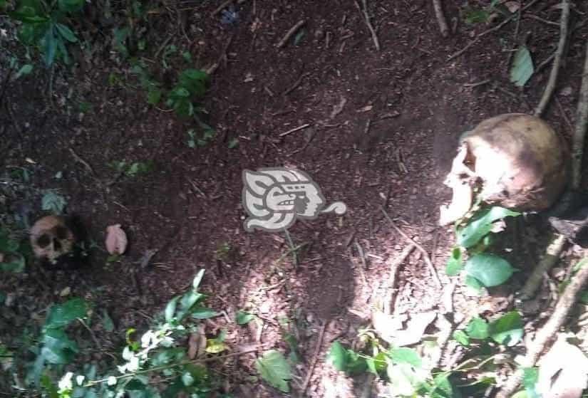 Encuentran dos cuerpos en descomposición en Santiago Tuxtla