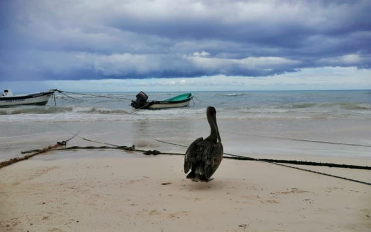 Llegará Zeta esta tarde a Quintana Roo como huracán categoría 1