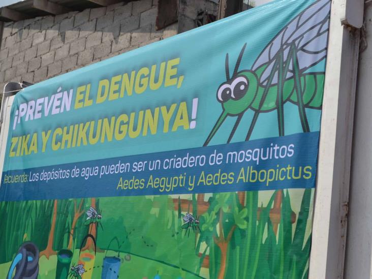 Prevén disminución de casos de dengue, zika y chikungunya