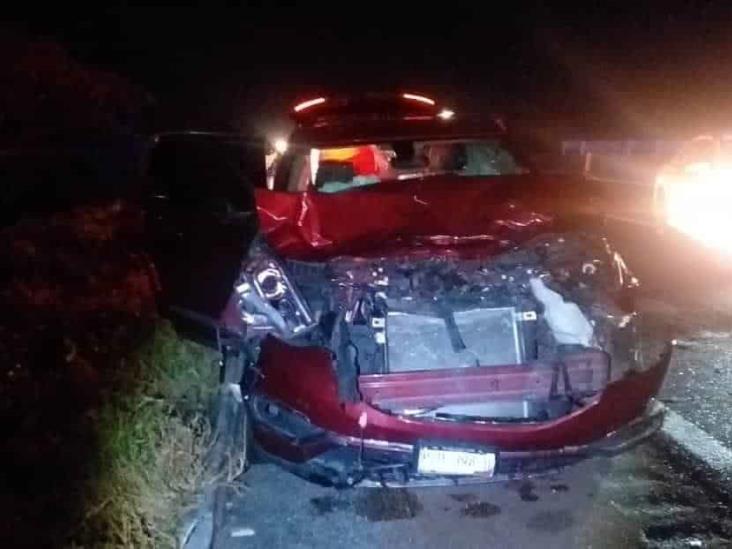 Estampida de vacas provoca múltiple accidente en carretera federal Veracruz Córdoba