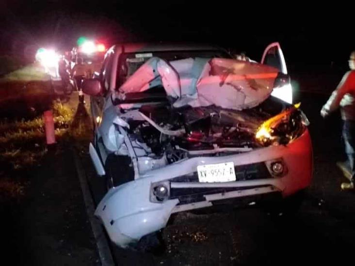 Estampida de vacas provoca múltiple accidente en carretera federal Veracruz Córdoba