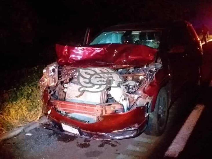 Estampida de vacas provoca múltiple accidente en carretera federal Veracruz Córdoba