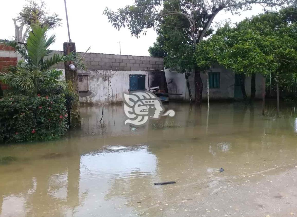 Se desborda río Uxpanapa, inunda viviendas en área rural de Minatitlán 