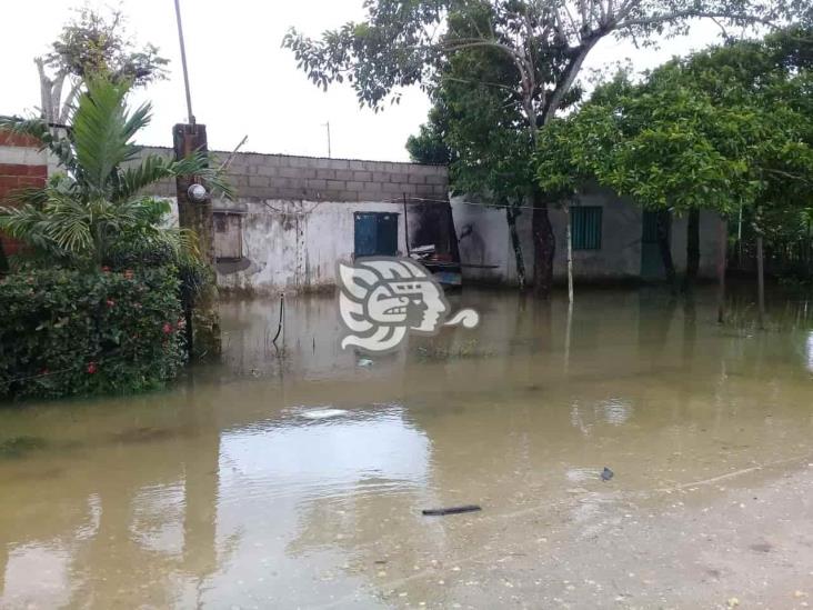 Se desborda río Uxpanapa, inunda viviendas en área rural de Minatitlán 