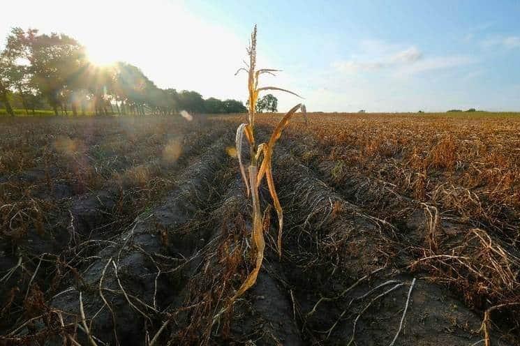 Advierten sobre cambios abruptos en el sistema climático global