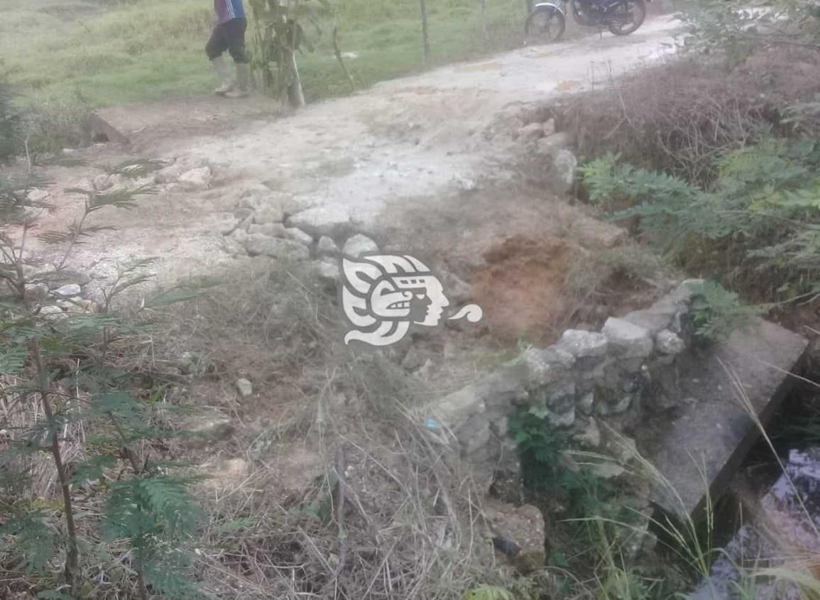 Lluvias provocan colapso de puente en ejido de Moloacán 