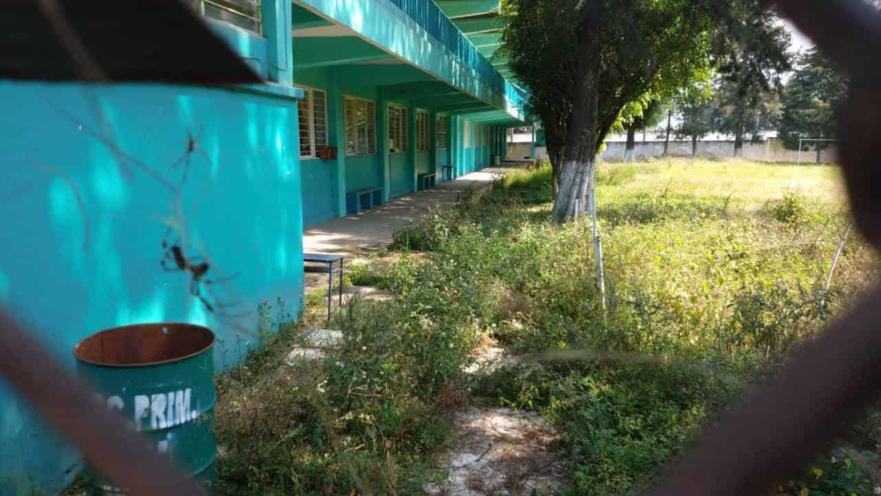Primarias en zona centro, sin mantenimiento ante pandemia