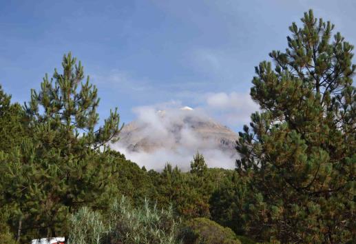 Visitantes al parque Pico de Orizaba desacatan medidas