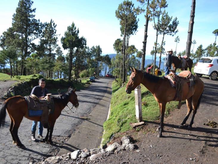 Visitantes al parque Pico de Orizaba desacatan medidas