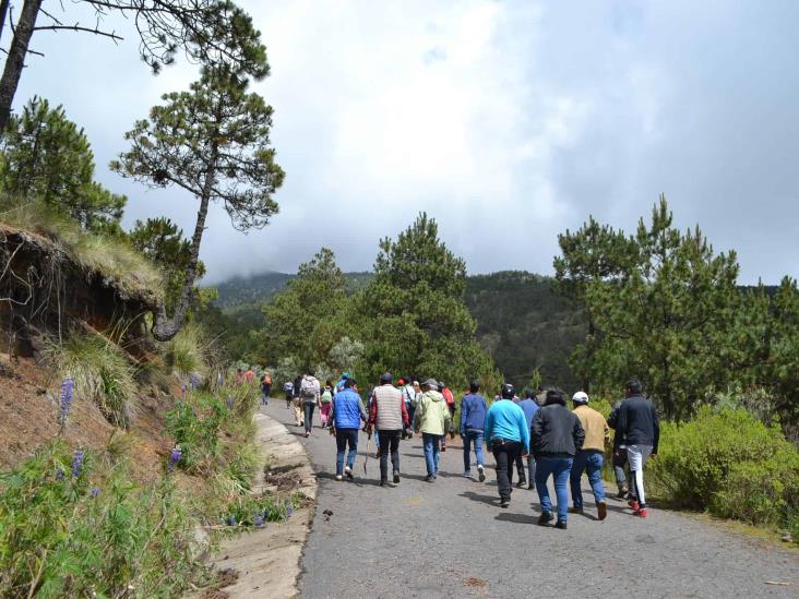 Visitantes al parque Pico de Orizaba desacatan medidas