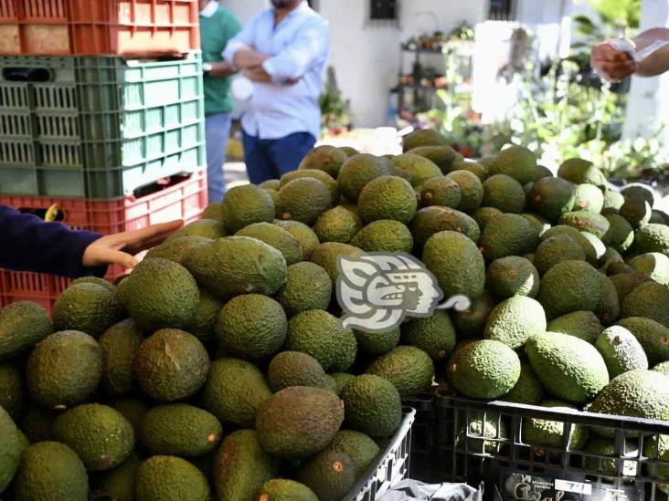 Busca Sedarpa combatir ‘coyotaje’; realizan venta de aguacate en Xalapa