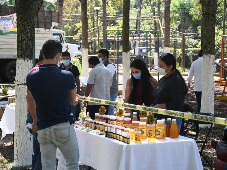 Busca Sedarpa combatir ‘coyotaje’; realizan venta de aguacate en Xalapa