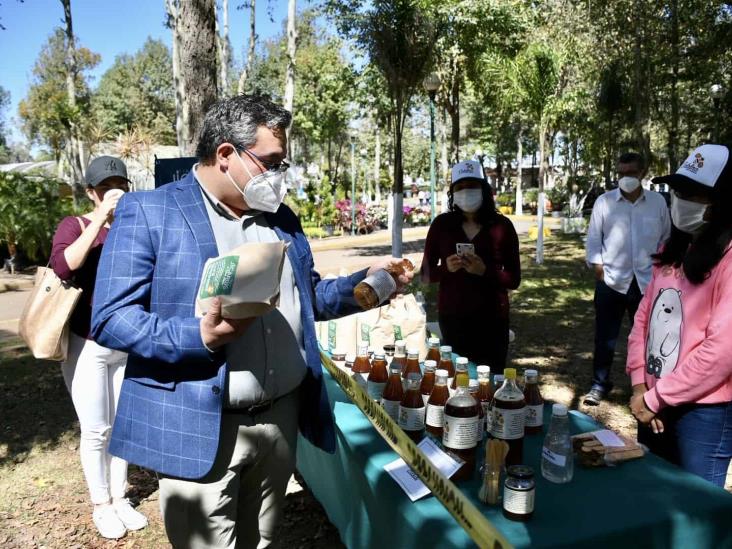 Busca Sedarpa combatir ‘coyotaje’; realizan venta de aguacate en Xalapa