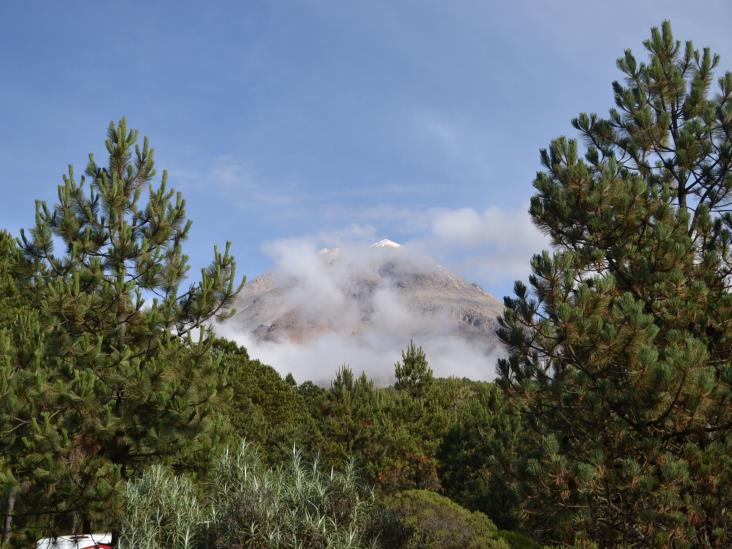 Tras reapertura, Parque Nacional Pico de Orizaba ya recibe visitantes