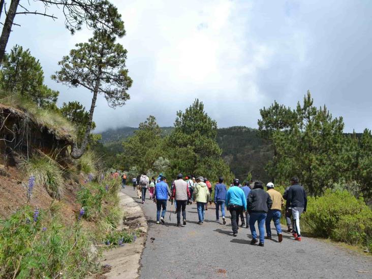 Tras reapertura, Parque Nacional Pico de Orizaba ya recibe visitantes