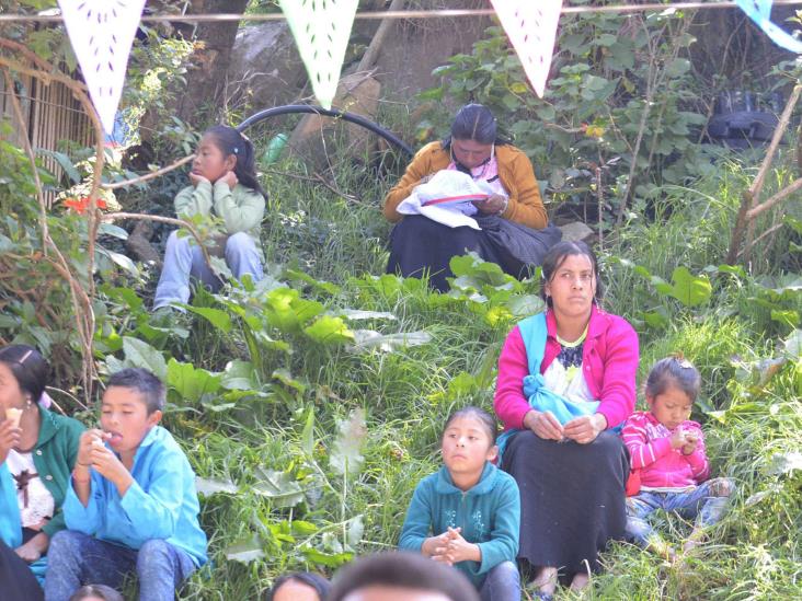 Preocupa estrés entre niños por educación a distancia en Veracruz