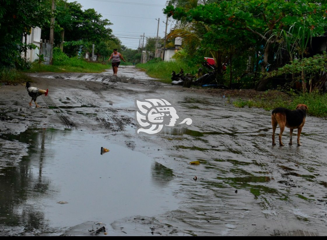 Sin sorpresas en Coatzacoalcos tras entrada del FF 13