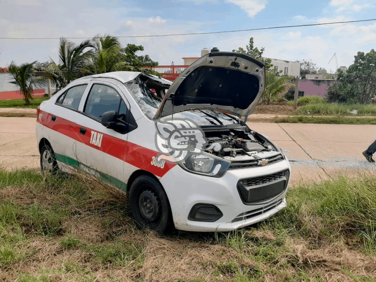 Choca taxista en Coatzacoalcos por esquivar borregos