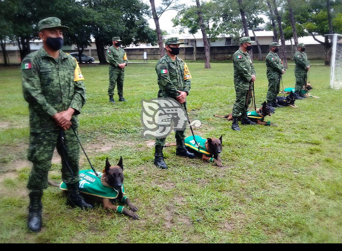 Binomios caninos asistirán a damnificados en Minatitlán