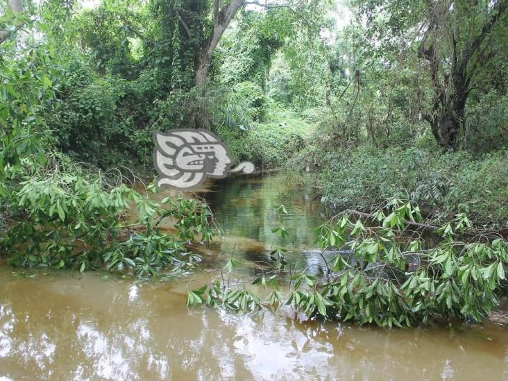 Arroyos de Poza Rica, totalmente contaminados