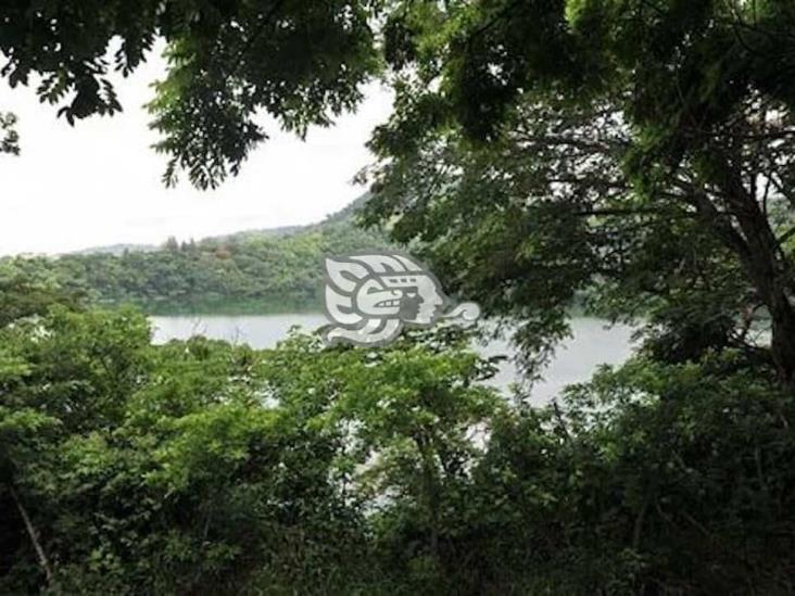 Un ‘fondo verde’ rescataría la selva