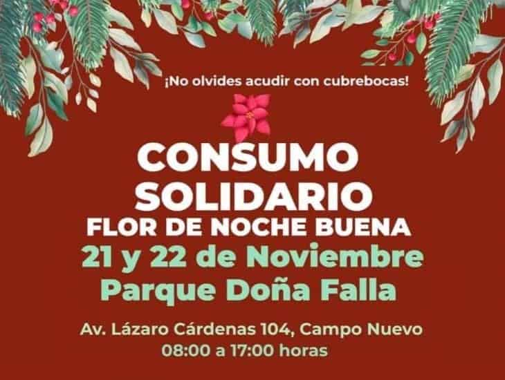 ¿Buscas flores de Nochebuena? Habrá en Xalapa este fin de semana